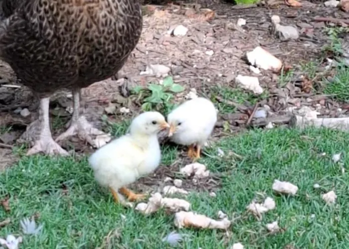 公寓 Bei Greta 35 马尔