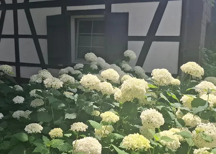 公寓 Bei Greta 35 *